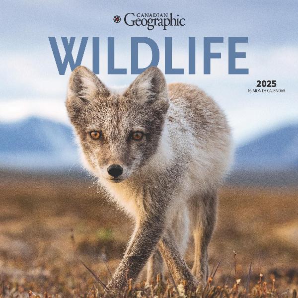 Canadian Geographic 2025 16mth Wildlife Calendar with Mini Calendar