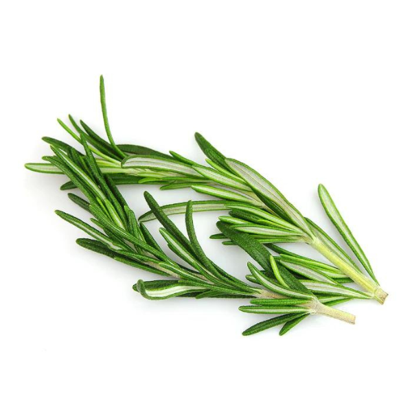 Fresh Rosemary 40g