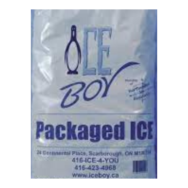 Ice Boy Ice Cubes 2.7 kg