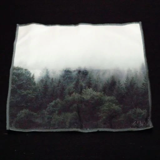 Zela Forest Microfiber Dish Cloth 10x10