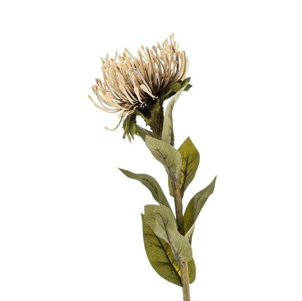 Indaba Pin Cushion Floral Stem, Natural