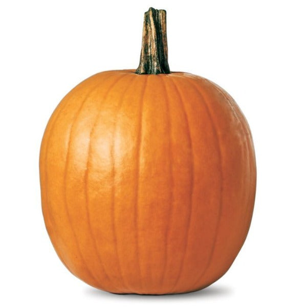 Large Pumpkin