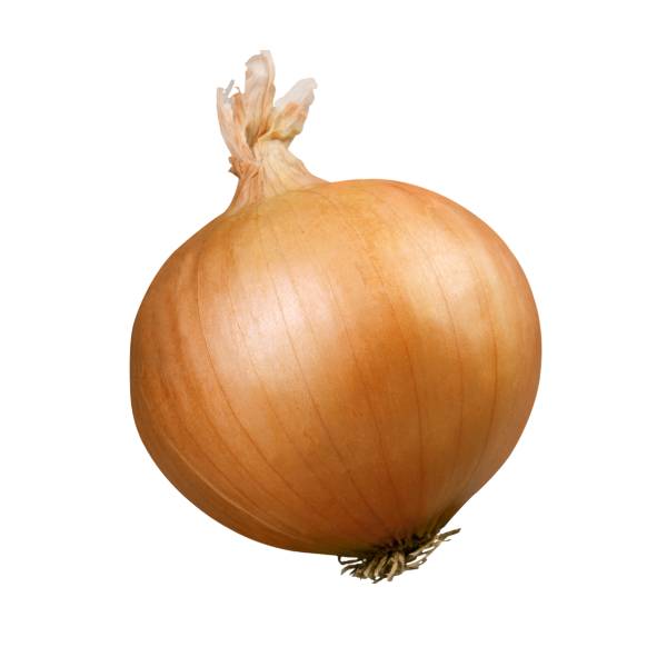 Vidalia Onion ea