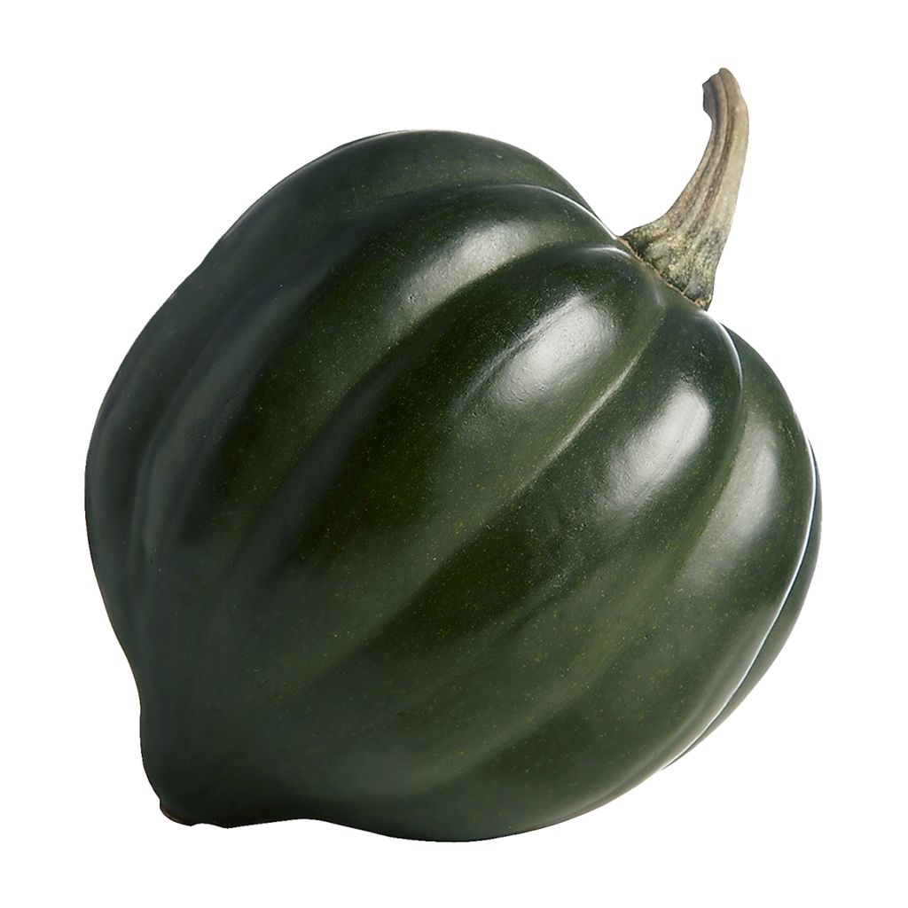 Acorn Squash