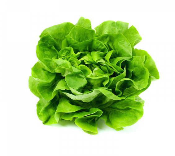 Boston Lettuce ea