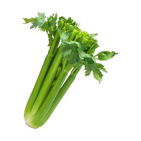 Celery Bunch ea