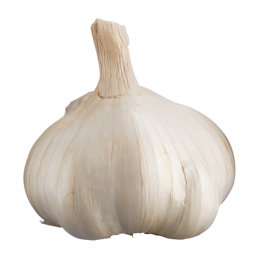 Fresh Garlic Bulb Ea