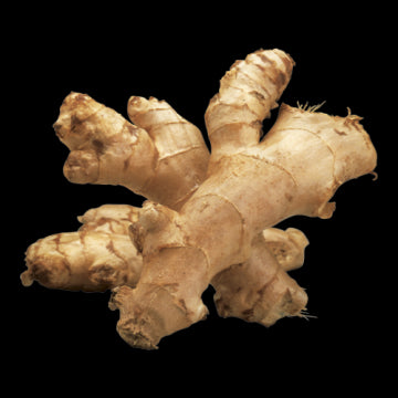 Ginger Root ea