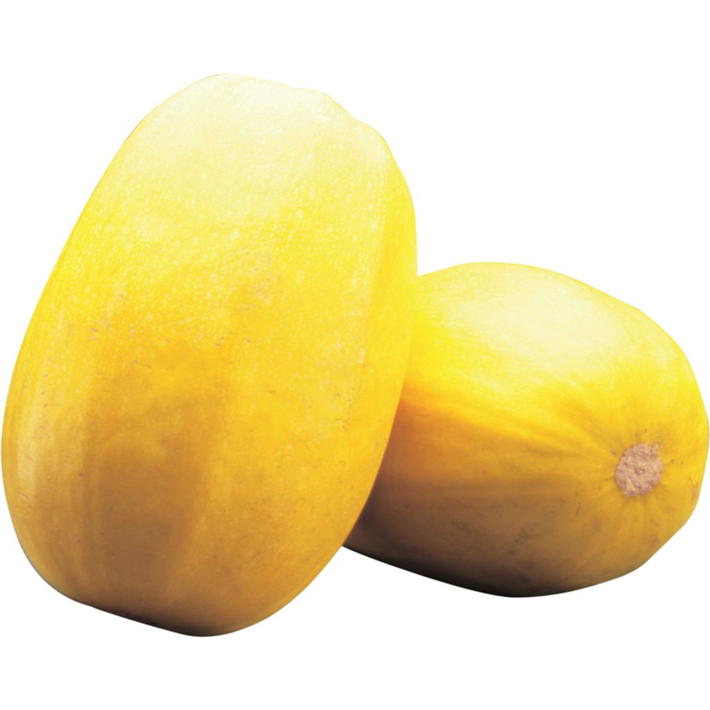 Spaghetti Squash ea