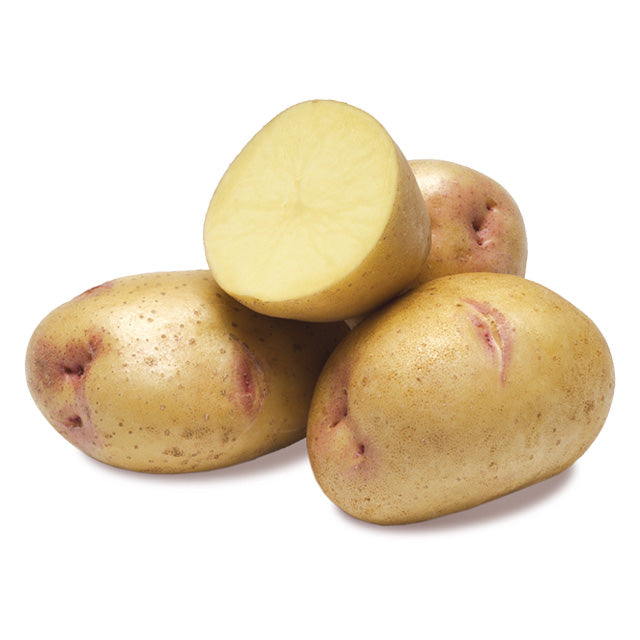 Yellow Flesh Potatoes 10lb
